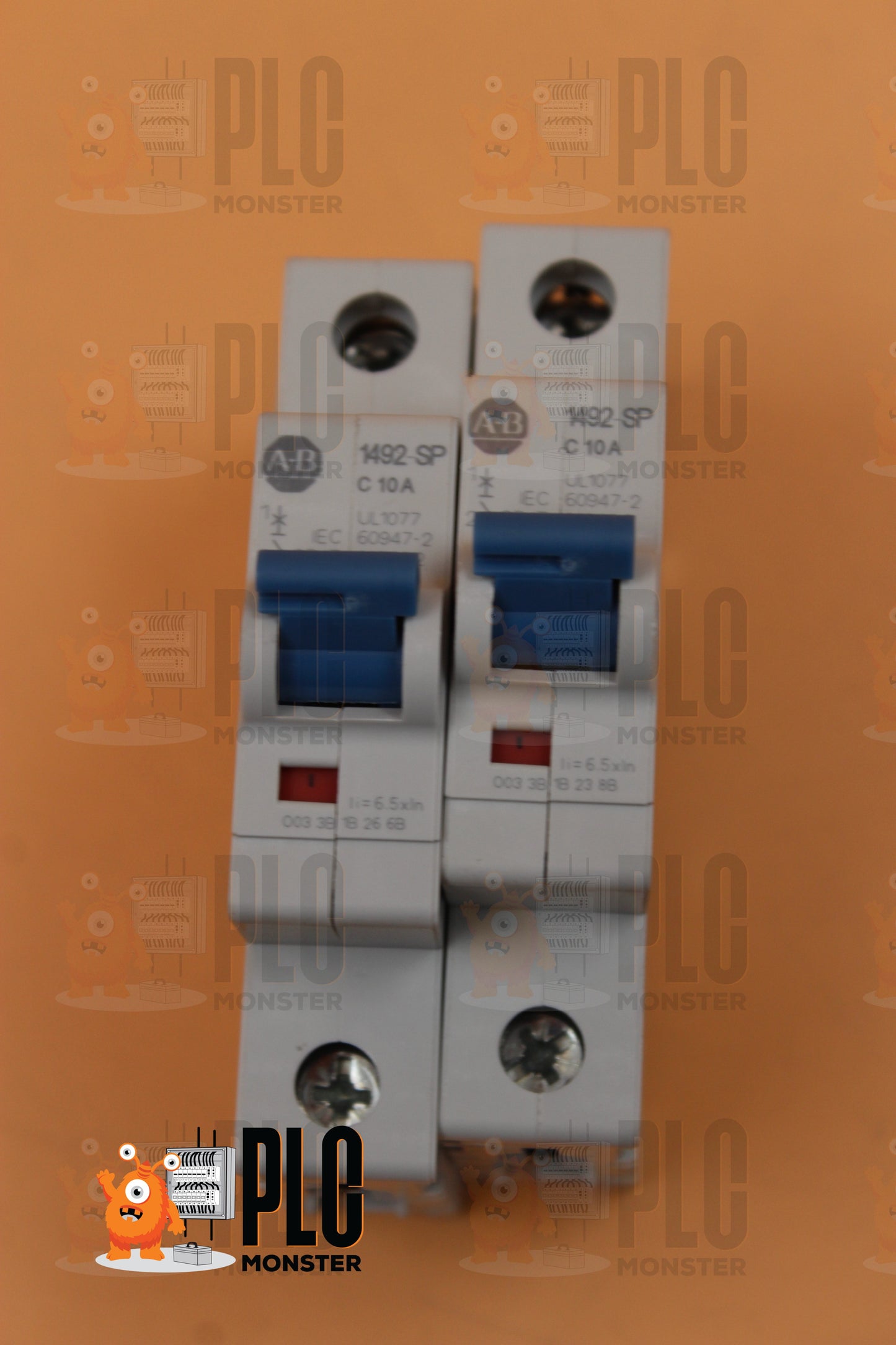 LOT OF 2 | NEW | Allen-Bradley | 1492-SPM1C100 |