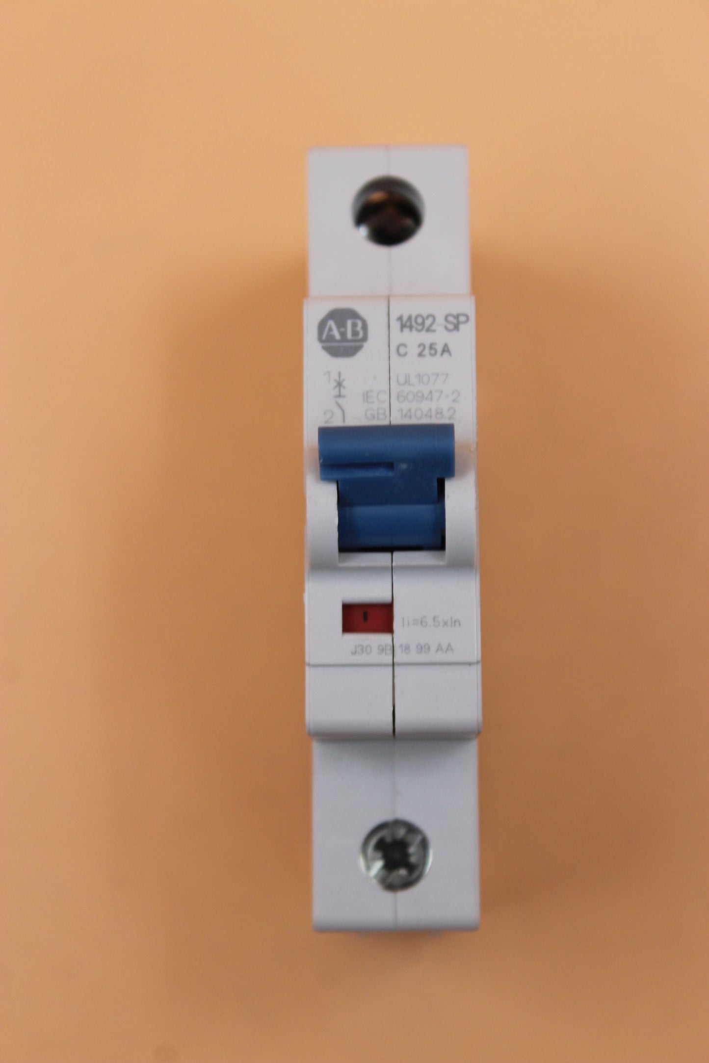 NEW | ALLEN-BRADLEY | 1492-SPM1C250 |
