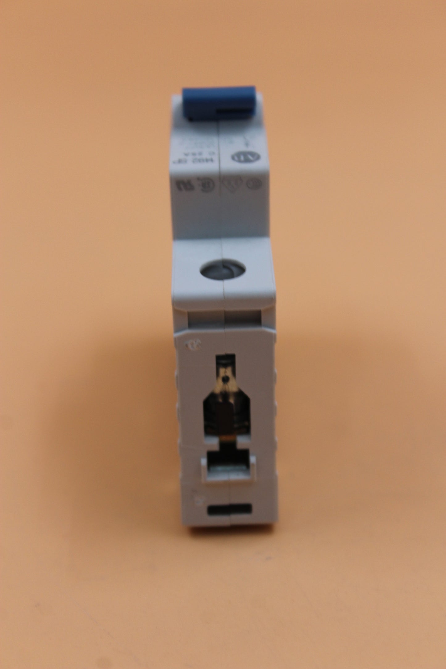 NEW | ALLEN-BRADLEY | 1492-SPM1C250 |